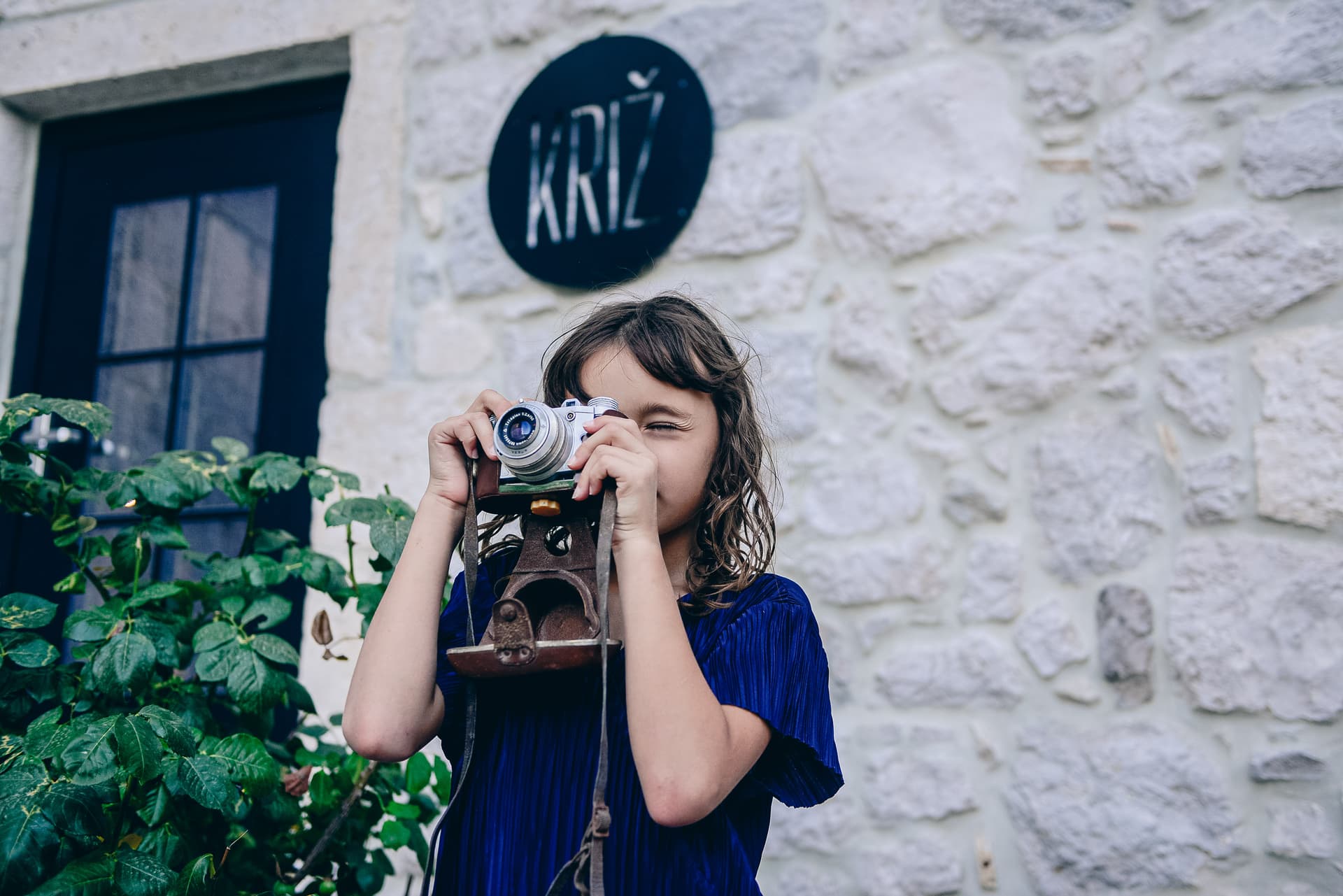 Vineyard view with mountains in the background